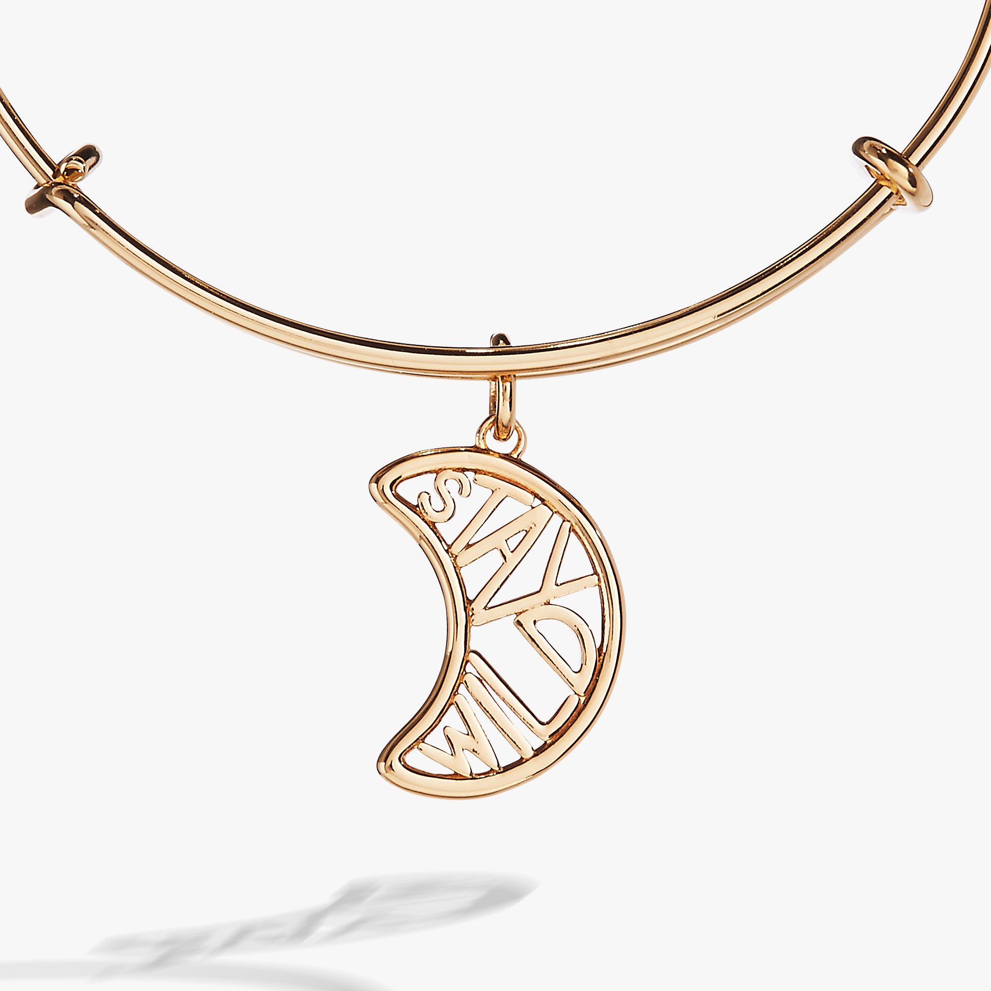 Image of Stay Wild Charm Bangle