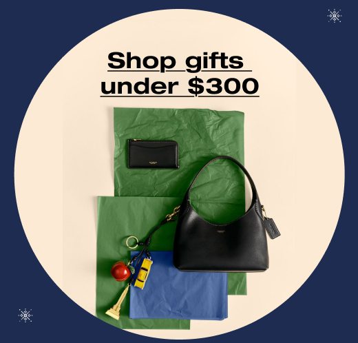 SHOP GIFTS UNDER $300