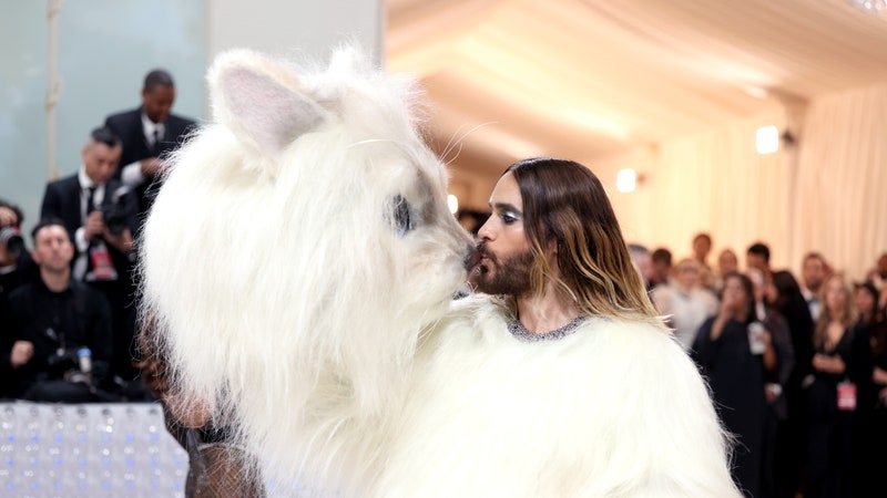 who is karl lagerfeld's cat - NEW YORK, NEW YORK - MAY 01: Jared Leto, (dressed as Karl Lagerfeld's cat, Choupette), attends The 2023 Met Gala Celebrating %22Karl Lagerfeld: A Line Of Beauty%22 at The Metropolitan Museum of Art on May 01, 2023 in New York City. (Photo by John Shearer/WireImage)