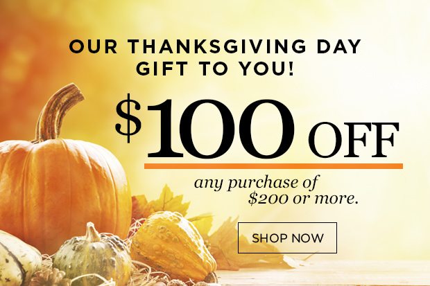 Our Thanksgiving Day gift to you - $100 off!