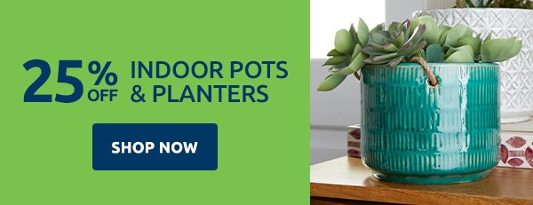 25% Off Indoor Pots & Planters