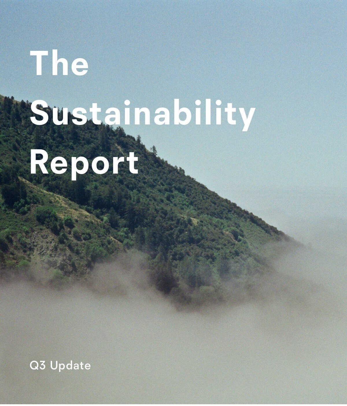 The Sustainability Report