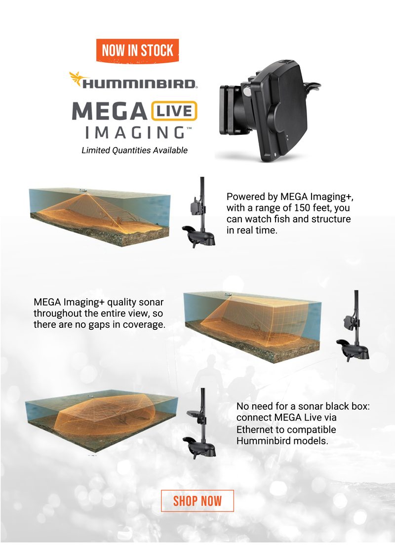🚨THIS JUST IN🚨: Humminbird® MEGA Live Imaging is NOW IN STOCK - Cabela's  Canada Email Archive