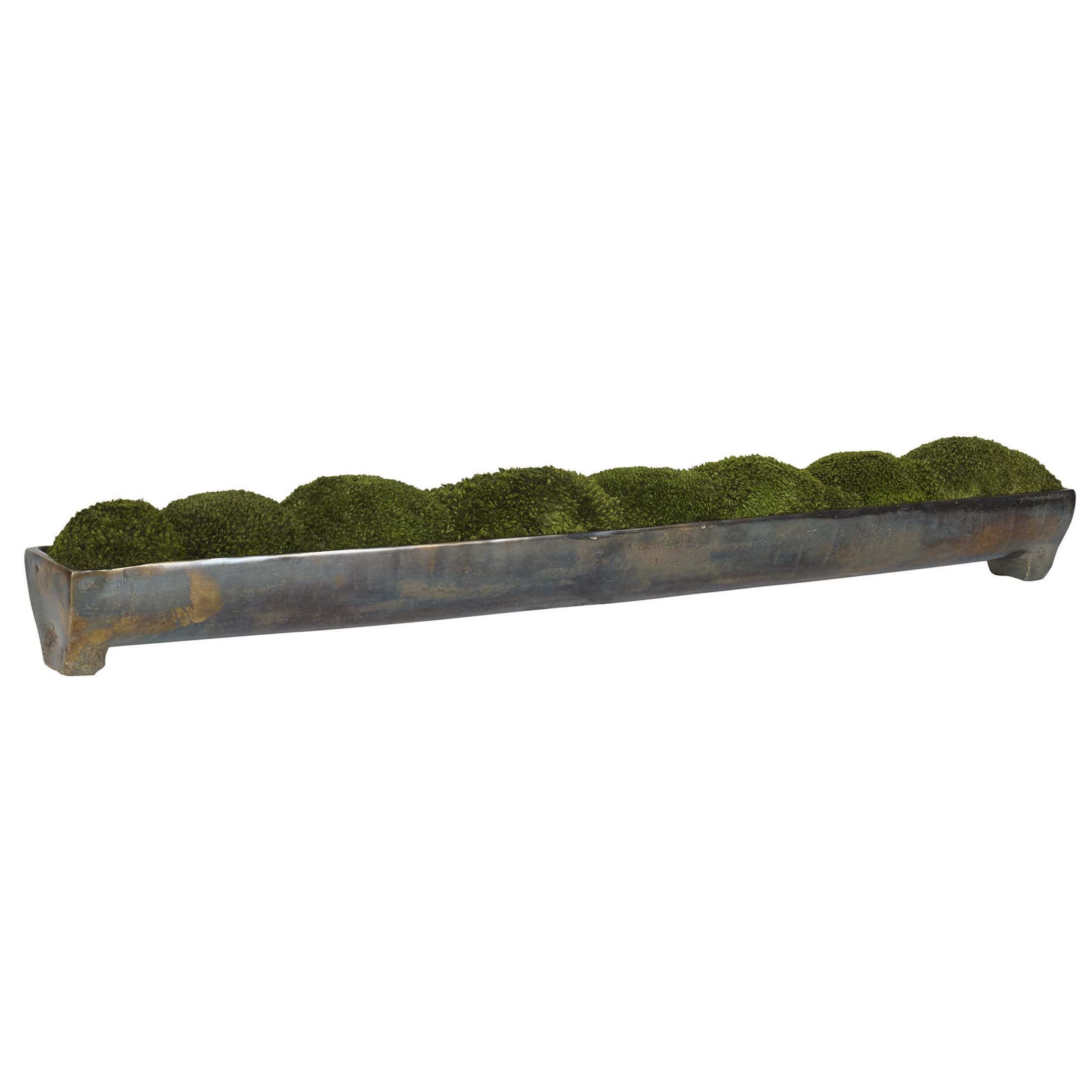 Image of Canal Moss Centerpiece, Large