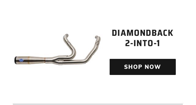 Diamondback 2-INTO-1
