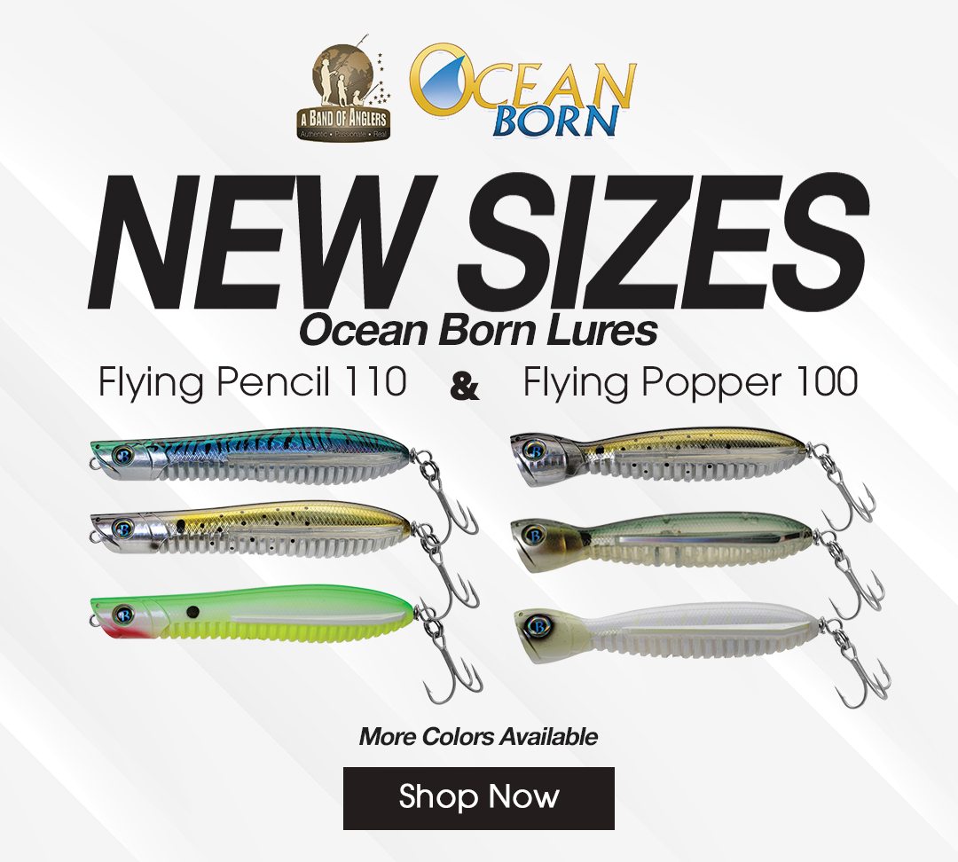New Sizes Ocean Born Lures - Flying Pencil 110 and Flying Popper 100
