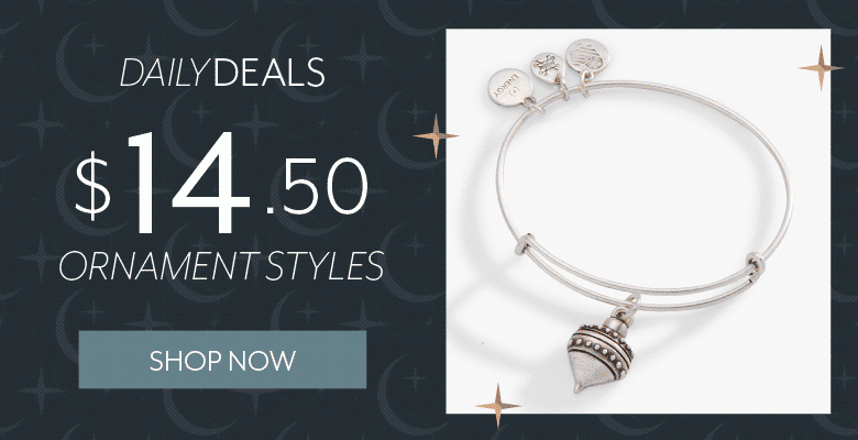 Daily Deals: $14.50 Ornament Styles | Shop Now