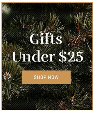 Shop Gifts Under $25