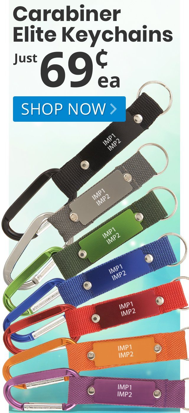 Carabiner Elite Keychains for only 69¢ each!