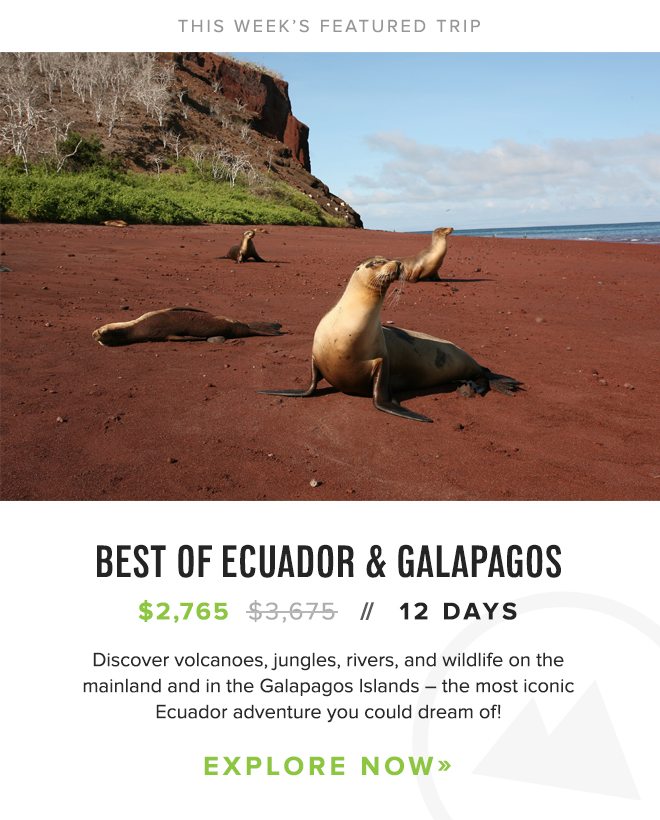 Explore volcanoes, jungles, rivers, and islands on the mainland and in the Galapagos — the most iconic Ecuador adventure you could dream of!