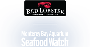  Red Lobster, Fresh Fish-Live Lobster | Monterey Bay Aquarium Seafood Watch(R) 