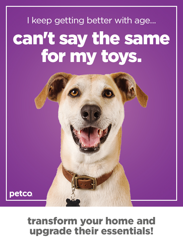 I keep getting better with age... can't say the same for my toys. Transform your home and upgrade their essentials.