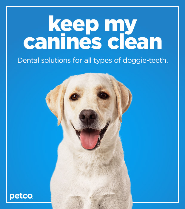 Keep my canines clean. Dental solutions for all types of doggie-teeth.