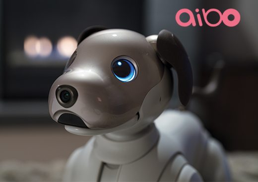 aibo