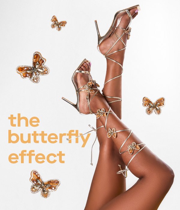 the butterfly effect