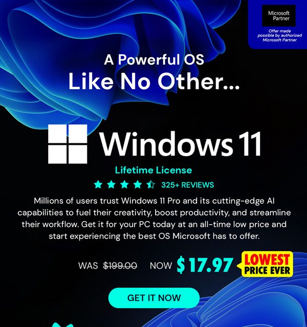 Microsoft Windows 11 Pro