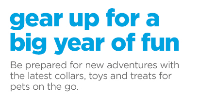 Gear up for a big year of fun!