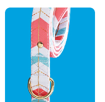 Shop leashes >