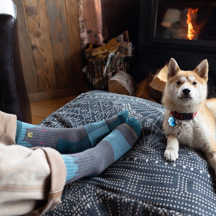 Shop Warm Socks - an adorable dog snuggled between a woodstove and a pair of feet wearing Darn Tough Beartown socks