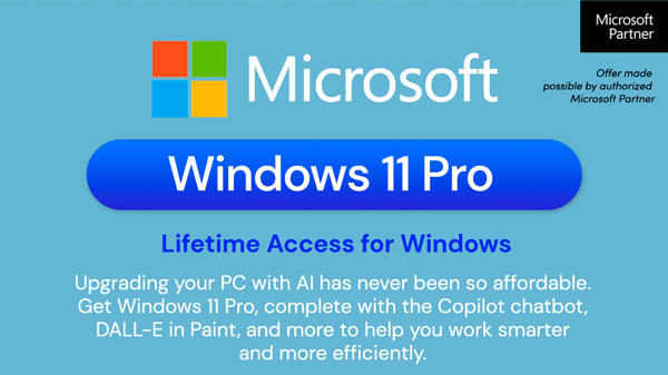 Microsoft Windows 11 Pro