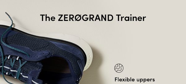 The Zerogrand Trainer