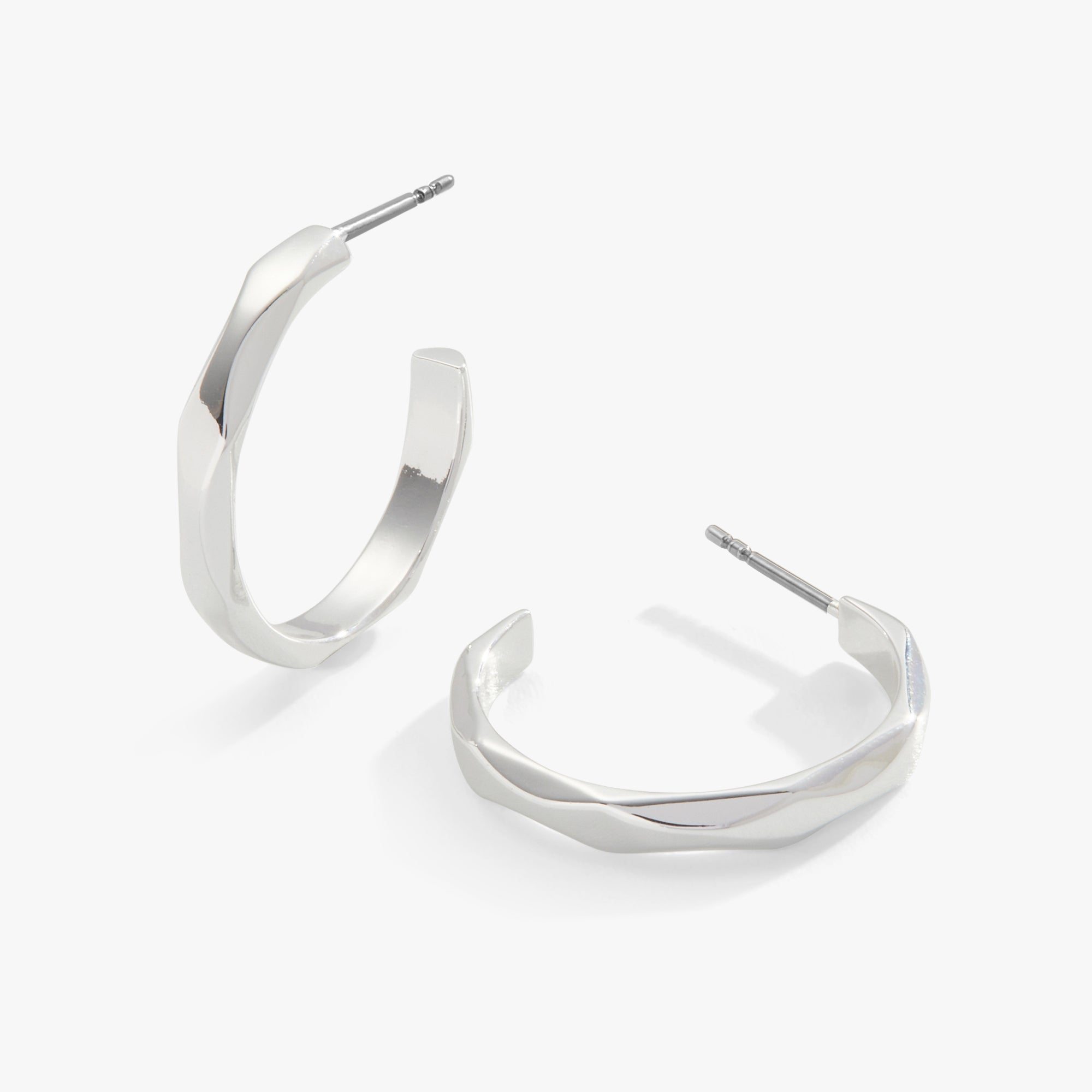 Image of Faceted Hoop Earrings