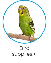 Bird supplies.