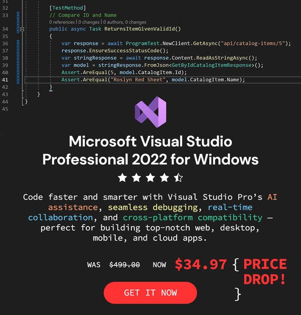 Microsoft Visual Studio Professional 2022 for Windows