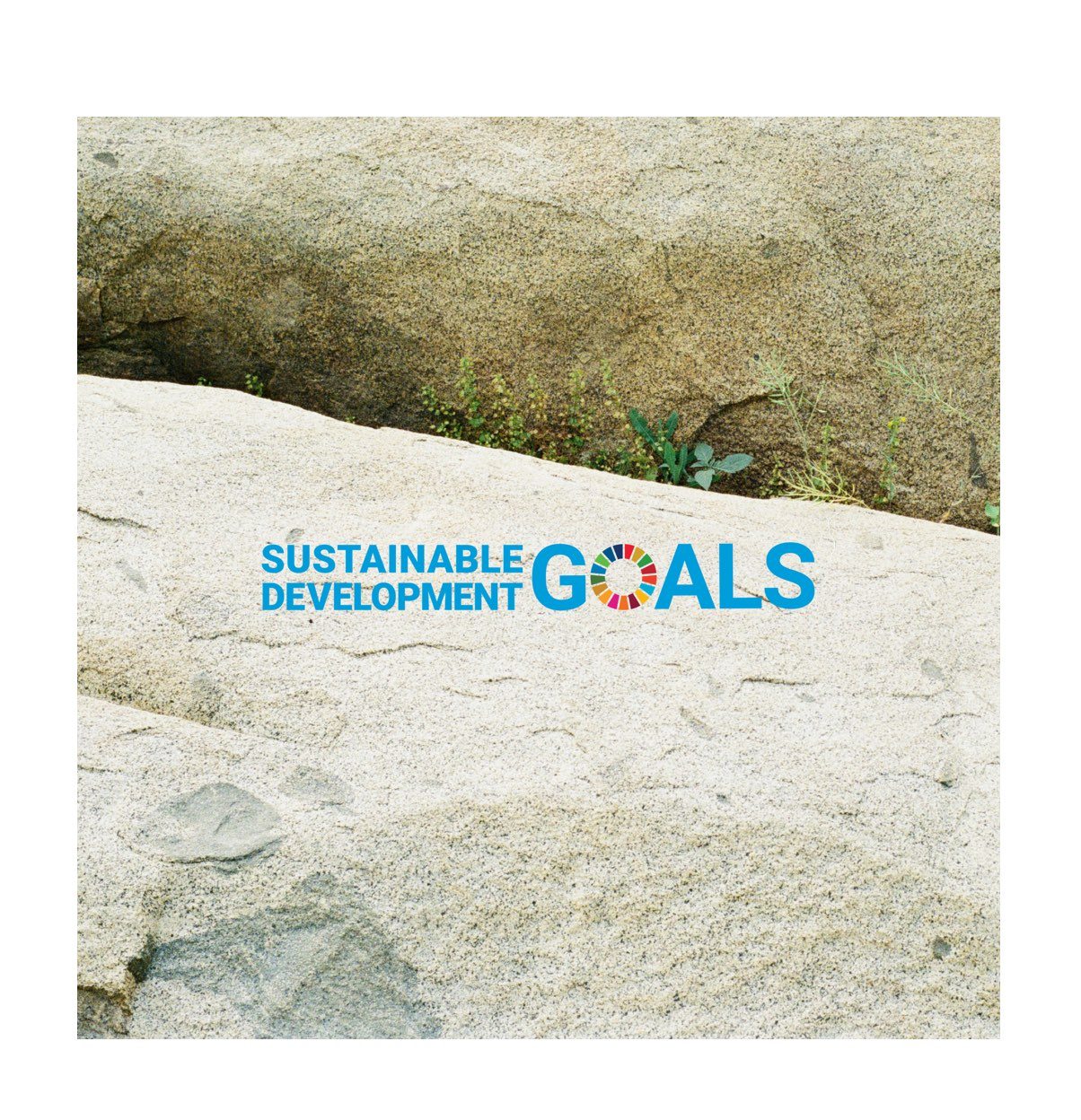 Sustainable Development Goals