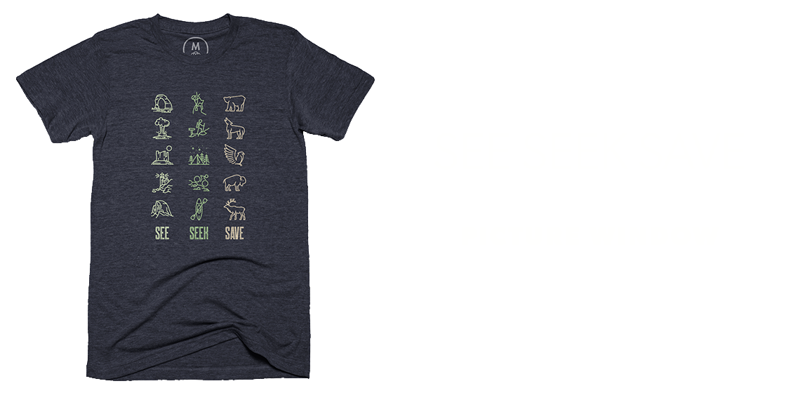 SEE SEEK SAVE by Picture Window