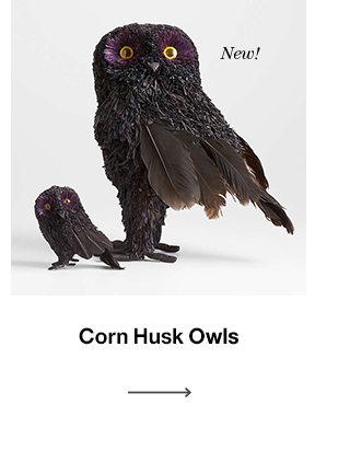 Corn husk owls
