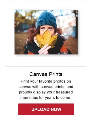 Canvas Prints