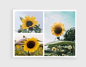 Collage Canvas Print