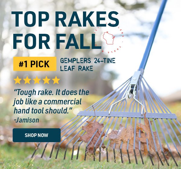 Top Rakes for Fall