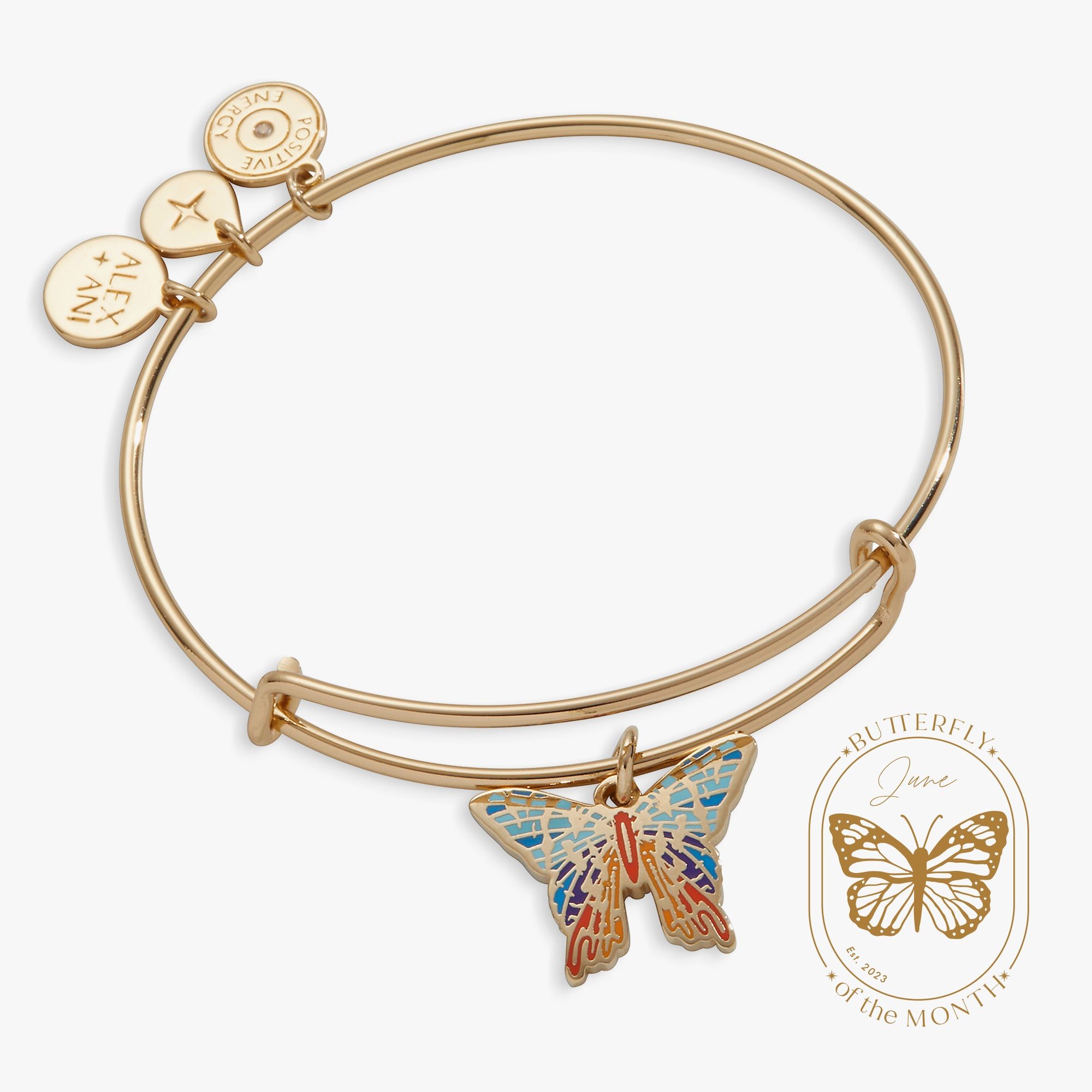 Image of Chrysiridia Rhipheus Butterfly Charm Bangle