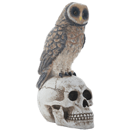 Owl on Skull Statue