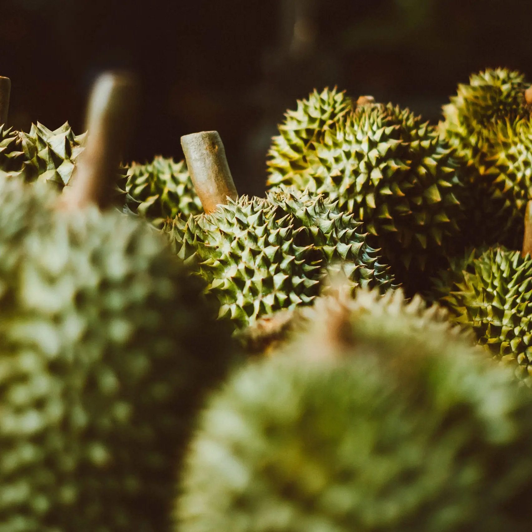 How to Choose and Cut a Durian, According to a Grower