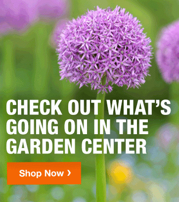 CHECK OUT WHAT'S GOING ON IN THE GARDEN CENTER SHOP NOW