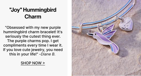 'Joy' Hummingbird Duo Charm Bangle Bracelet | Shop Now