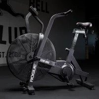 Rogue Echo Bike