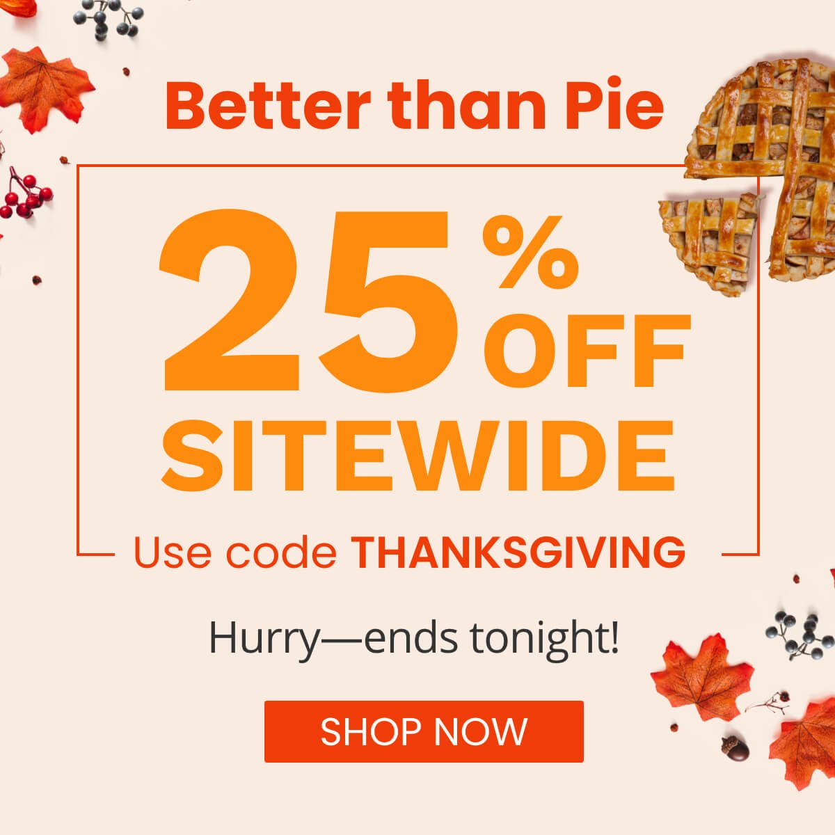 25% Off Sitewide. Use code THANKSGIVING. Hurry, ends tonight!