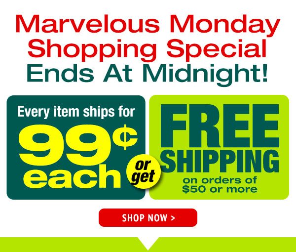 Don't Miss out on This Marvelous Monday Deal!