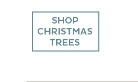 Shop Christmas Trees