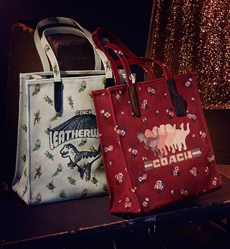 TOTE BAGS | SHOP DINO-MITE GIFTS