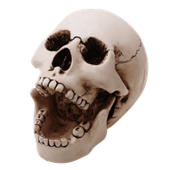 Open Mouth Ceramic Skull Ashtray