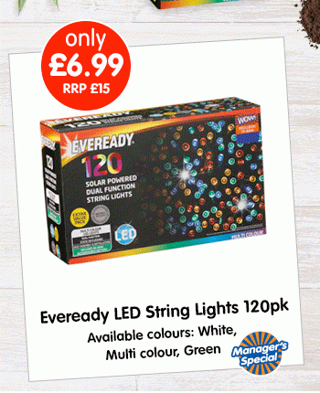Eveready LED String Lights 120pk