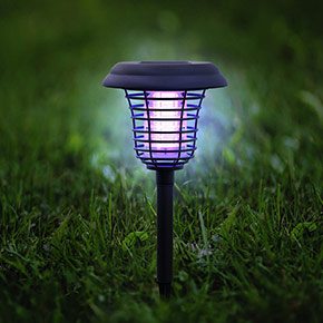Outdoor Lighting