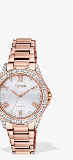 Citizen-Watch.jpg