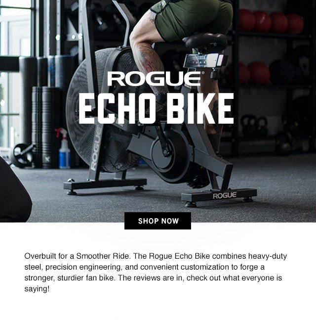 Rogue Echo Bike