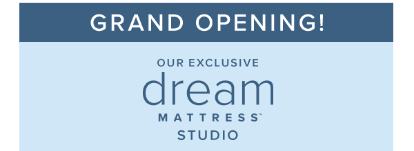 Grand Opening! our exclusive dream matterss studio